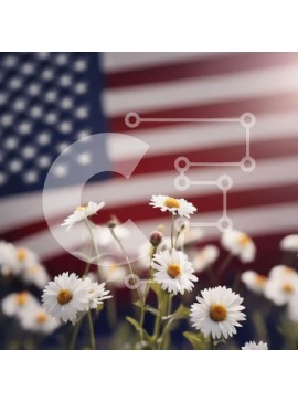 Intra Συλλεκτικό Ξύλινο Παζλ Plywood  4mm - Λευκές μαργαρίτες μπροστά από την αμερικανική σημαία Σε Ξύλινο Κουτί - Διαστάσεις Puzzle: 10x10 cm – 25 κομμάτια