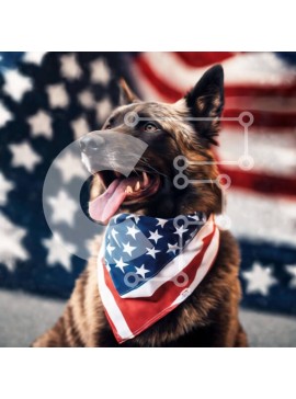 Intra Συλλεκτικό Ξύλινο Παζλ Plywood  4mm - Happy Dog με American Flag Bandana Σε Ξύλινο Κουτί - Διαστάσεις: 10x10 cm – 25 κομμάτια