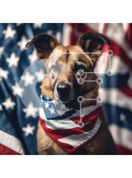 Intra Συλλεκτικό Ξύλινο Παζλ Plywood  4mm - Σκύλος με αμερικανική σημαία Bandana Σε Ξύλινο Κουτί - Διαστάσεις: 10x10 cm – 25 κομμάτια