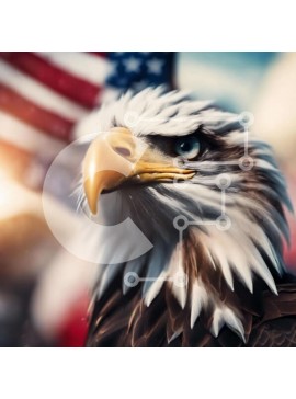 Intra Συλλεκτικό Ξύλινο Παζλ Plywood  4mm - Πατριωτικός αετός με αμερικανική σημαία Σε Ξύλινο Κουτί - Διαστάσεις: 10x10 cm – 25 κομμάτια