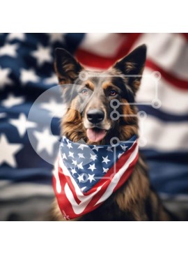 Intra Συλλεκτικό Ξύλινο Παζλ Plywood  4mm - Σκύλος με αμερικανική σημαία Bandana Σε Ξύλινο Κουτί - Διαστάσεις: 10x10 cm – 25 κομμάτια