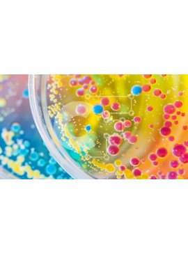 Intra Συλλεκτικό Ξύλινο Παζλ Plywood  4mm - Πολύχρωμο ποτήρι με φυσαλίδες Σε Ξύλινο Κουτί - Διαστάσεις Puzzle: 10x10 cm – 25 κομμάτια