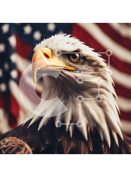 Intra Συλλεκτικό Ξύλινο Παζλ Plywood  4mm - Κοντινό πλάνο ενός αετού με αμερικανική σημαία Σε Ξύλινο Κουτί - Διαστάσεις: 10x10 cm – 25 κομμάτια