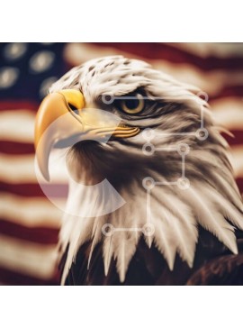 Intra Συλλεκτικό Ξύλινο Παζλ Plywood  4mm - Φαλακρός αετός μπροστά από την αμερικανική σημαία Σε Ξύλινο Κουτί - Διαστάσεις: 10x10 cm – 25 κομμάτια