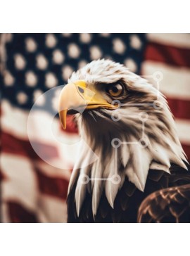 Intra Συλλεκτικό Ξύλινο Παζλ Plywood  4mm - Μεγαλοπρεπής αετός με αμερικανική σημαία Σε Ξύλινο Κουτί - Διαστάσεις: 10x10 cm – 25 κομμάτια