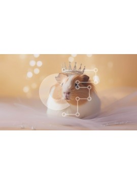 Intra Συλλεκτικό Ξύλινο Παζλ Plywood  4mm - Αξιολάτρευτο ινδικό χοιρίδιο με στέμμα Σε Ξύλινο Κουτί - Διαστάσεις: 10x10 cm – 25 κομμάτια