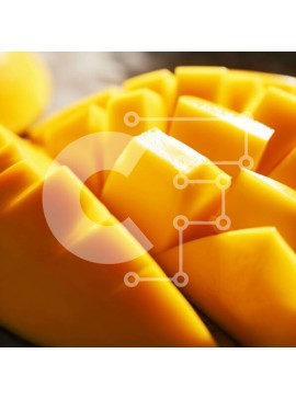 Σετ των 2 Intra Συλλεκτικό Ξύλινο Παζλ Plywood  4mm - Μάνγκο σε φέτες και ανάμεικτα φρούτα Σε Ξύλινο Κουτί - Διαστάσεις: 10x10 cm – 25 κομμάτια