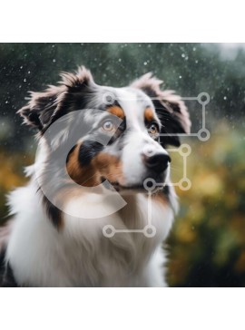 Intra Συλλεκτικό Ξύλινο Παζλ Plywood  4mm - Καφέ και λευκό σκυλί στη βροχή Σε Ξύλινο Κουτί - Διαστάσεις: 10x10 cm – 25 κομμάτια