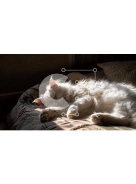 Σετ των 2 Intra Συλλεκτικό Ξύλινο Παζλ Plywood  4mm - Λευκή αφράτη γάτα που κοιμάται στο κρεβάτι Σε Ξύλινο Κουτί - Διαστάσεις: 10x10 cm – 25 κομμάτια