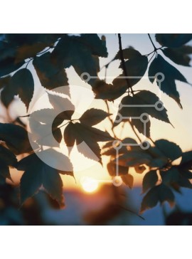 Intra Συλλεκτικό Ξύλινο Παζλ Plywood  4mm - Κλάδος φύλλων με τη δύση του ήλιου Σε Ξύλινο Κουτί - Διαστάσεις: 10x10 cm – 25 κομμάτια