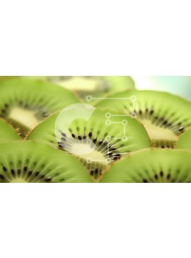 Σετ των 2 Intra Συλλεκτικό Ξύλινο Παζλ Plywood  4mm - Κοντινό πλάνο με πράσινες φέτες ακτινίδιο και διάφορα φρούτα Σε Ξύλινο Κουτί - Διαστάσεις: 10x10 cm – 25 κομμάτια