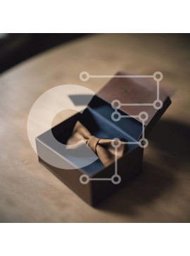 Σετ των 2 Intra Συλλεκτικό Ξύλινο Παζλ Plywood  4mm - Καφέ παπιγιόν σε ανοιχτό κουτί Σε Ξύλινο Κουτί - Διαστάσεις: 10x10 cm – 25 κομμάτια