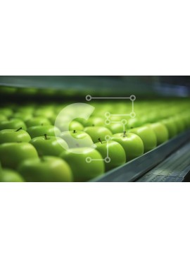 Σετ των 2 Intra Συλλεκτικό Ξύλινο Παζλ Plywood  4mm - Φρέσκα πράσινα μήλα στη ζώνη μεταφοράς Σε Ξύλινο Κουτί - Διαστάσεις: 10x10 cm – 25 κομμάτια