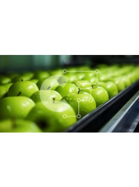 Σετ των 2 Intra Συλλεκτικό Ξύλινο Παζλ Plywood  4mm - Φρεσκοκομμένα πράσινα μήλα στη ζώνη μεταφοράς Σε Ξύλινο Κουτί - Διαστάσεις: 10x10 cm – 25 κομμάτια