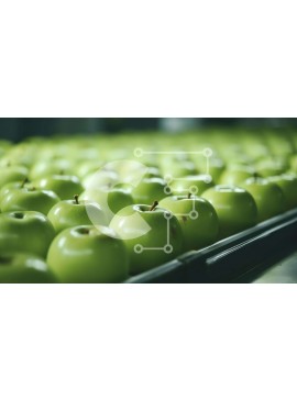 Σετ των 2 Intra Συλλεκτικό Ξύλινο Παζλ Plywood  4mm - Φρέσκα πράσινα μήλα στη ζώνη μεταφοράς Σε Ξύλινο Κουτί - Διαστάσεις: 10x10 cm – 25 κομμάτια