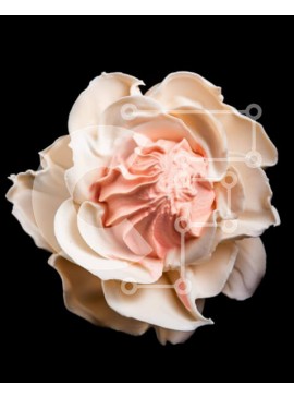 Intra Συλλεκτικό Ξύλινο Παζλ Plywood  4mm - Λευκό λουλούδι με ροζ πάγωμα Σε Ξύλινο Κουτί - Διαστάσεις Puzzle: 10x10 cm – 25 κομμάτια