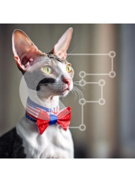 Intra Συλλεκτικό Ξύλινο Παζλ Plywood  4mm - Γάτα με πατριωτικό παπιγιόν Σε Ξύλινο Κουτί - Διαστάσεις: 10x10 cm – 25 κομμάτια