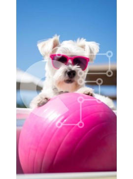 Σετ των 2 Intra Συλλεκτικό Ξύλινο Παζλ Plywood  4mm - Λευκός σκύλος με ροζ γυαλιά ηλίου σε ροζ μπάλα στην πισίνα Σε Ξύλινο Κουτί - Διαστάσεις: 10x10 cm – 25 κομμάτια