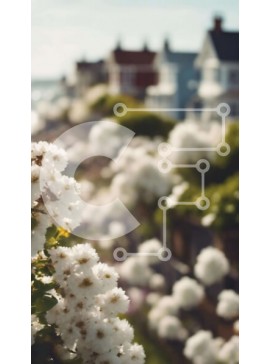 Σετ των 2 Intra Συλλεκτικό Ξύλινο Παζλ Plywood  4mm - Μπουκέτο με λευκά λουλούδια με σπίτια στο φόντο Σε Ξύλινο Κουτί - Διαστάσεις: 10x10 cm – 25 κομμάτια