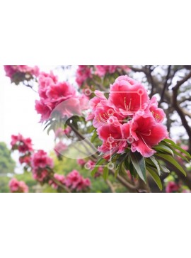 Intra Συλλεκτικό Ξύλινο Παζλ Plywood  4mm - Συστάδα ροζ λουλουδιών σε κλαδιά δέντρων Σε Ξύλινο Κουτί - Διαστάσεις: 10x10 cm – 25 κομμάτια