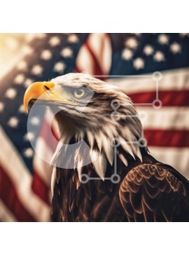 Intra Συλλεκτικό Ξύλινο Παζλ Plywood  4mm - Φαλακρός αετός με αμερικανική σημαία Σε Ξύλινο Κουτί - Διαστάσεις: 10x10 cm – 25 κομμάτια