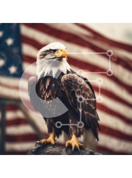Intra Συλλεκτικό Ξύλινο Παζλ Plywood  4mm - Majestic Eagle σκαρφαλωμένος σε βράχο με αμερικανική σημαία Σε Ξύλινο Κουτί - Διαστάσεις: 10x10 cm – 25 κομμάτια