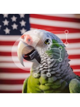 Intra Συλλεκτικό Ξύλινο Παζλ Plywood  4mm - Περίεργος πράσινος παπαγάλος με φόντο αμερικανικής σημαίας Σε Ξύλινο Κουτί - Διαστάσεις: 10x10 cm – 25 κομμάτια