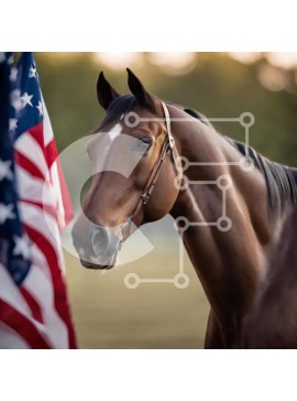 Intra Συλλεκτικό Ξύλινο Παζλ Plywood  4mm - Καφέ άλογο και αμερικανική σημαία Σε Ξύλινο Κουτί - Διαστάσεις: 10x10 cm – 25 κομμάτια