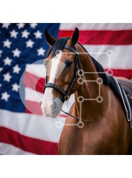 Intra Συλλεκτικό Ξύλινο Παζλ Plywood  4mm - Περιποιημένο καφέ άλογο με φόντο αμερικανικής σημαίας Σε Ξύλινο Κουτί - Διαστάσεις: 10x10 cm – 25 κομμάτια