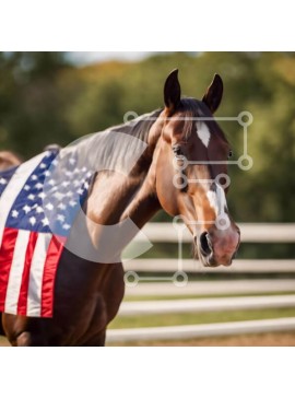 Intra Συλλεκτικό Ξύλινο Παζλ Plywood  4mm - Καφέ άλογο με αμερικανική σημαία Σε Ξύλινο Κουτί - Διαστάσεις: 10x10 cm – 25 κομμάτια