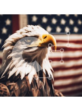 Intra Συλλεκτικό Ξύλινο Παζλ Plywood  4mm - Μεγαλοπρεπής αετός μπροστά από την αμερικανική σημαία Σε Ξύλινο Κουτί - Διαστάσεις: 10x10 cm – 25 κομμάτια