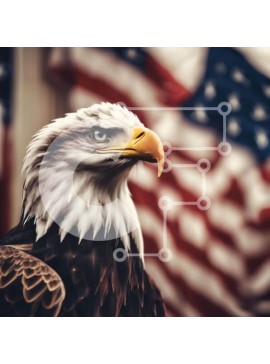 Intra Συλλεκτικό Ξύλινο Παζλ Plywood  4mm - Φαλακρός αετός με αμερικανική σημαία Σε Ξύλινο Κουτί - Διαστάσεις: 10x10 cm – 25 κομμάτια