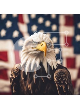 Intra Συλλεκτικό Ξύλινο Παζλ Plywood  4mm - Φαλακρός αετός με αμερικανική σημαία Σε Ξύλινο Κουτί - Διαστάσεις: 10x10 cm – 25 κομμάτια