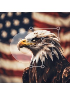 Intra Συλλεκτικό Ξύλινο Παζλ Plywood  4mm - Κοντινό πλάνο του αετού με την αμερικανική σημαία Σε Ξύλινο Κουτί - Διαστάσεις: 10x10 cm – 25 κομμάτια