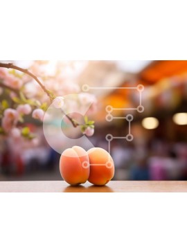 Σετ των 2 Intra Συλλεκτικό Ξύλινο Παζλ Plywood  4mm - Φρέσκα βερίκοκα σε ξύλινο τραπέζι με ανθρώπους Σε Ξύλινο Κουτί - Διαστάσεις: 10x10 cm – 25 κομμάτια