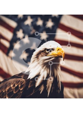 Intra Συλλεκτικό Ξύλινο Παζλ Plywood  4mm - Φαλακρός αετός με αμερικανική σημαία Σε Ξύλινο Κουτί - Διαστάσεις: 10x10 cm – 25 κομμάτια