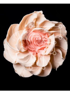 Intra Συλλεκτικό Ξύλινο Παζλ Plywood  4mm - Λευκό λουλούδι με ροζ πάγωμα Σε Ξύλινο Κουτί - Διαστάσεις Puzzle: 10x10 cm – 25 κομμάτια