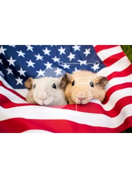 Intra Συλλεκτικό Ξύλινο Παζλ Plywood  4mm - Ινδικά χοιρίδια στην αμερικανική σημαία Σε Ξύλινο Κουτί - Διαστάσεις Puzzle: 10x10 cm – 25 κομμάτια