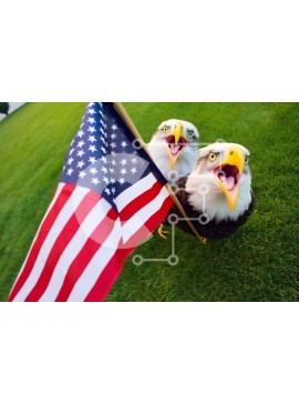 Σετ των 2 Intra Συλλεκτικό Ξύλινο Παζλ Plywood  4mm - Bald Eagles που κρατούν την αμερικανική σημαία Σε Ξύλινο Κουτί - Διαστάσεις: 10x10 cm – 25 κομμάτια