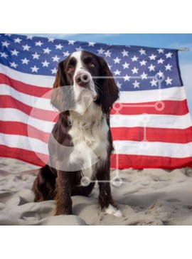 Intra Συλλεκτικό Ξύλινο Παζλ Plywood  4mm - Καφέ και λευκό σκυλί στην παραλία με την αμερικανική σημαία Σε Ξύλινο Κουτί - Διαστάσεις: 10x10 cm – 25 κομμάτια