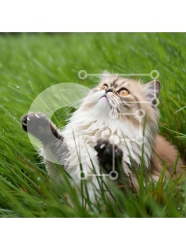 Intra Συλλεκτικό Ξύλινο Παζλ Plywood  4mm - Παιχνιδιάρικη γάτα στο γρασίδι Σε Ξύλινο Κουτί - Διαστάσεις: 10x10 cm – 25 κομμάτια