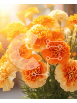 Σετ των 2 Intra Συλλεκτικό Ξύλινο Παζλ Plywood  4mm - Ζωντανά πορτοκαλί και λευκά γαρίφαλα σε ένα ηλιόλουστο βάζο Σε Ξύλινο Κουτί - Διαστάσεις: 10x10 cm – 25 κομμάτια