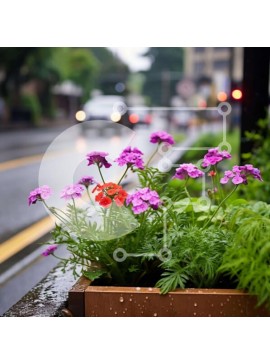 Intra Συλλεκτικό Ξύλινο Παζλ Plywood  4mm - Μωβ λουλούδια στη βροχή με αυτοκίνητα Σε Ξύλινο Κουτί - Διαστάσεις: 10x10 cm – 25 κομμάτια