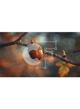 Intra Συλλεκτικό Ξύλινο Παζλ Plywood  4mm - Βελανίδι που κρέμεται από κλαδί βελανιδιάς Σε Ξύλινο Κουτί - Διαστάσεις: 10x10 cm – 25 κομμάτια