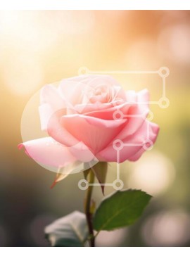 Intra Συλλεκτικό Ξύλινο Παζλ Plywood  4mm - Μονό ροζ τριαντάφυλλο με πράσινα φύλλα Σε Ξύλινο Κουτί - Διαστάσεις: 10x10 cm – 25 κομμάτια