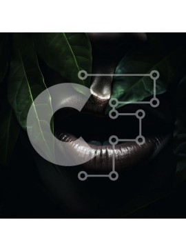 Intra Συλλεκτικό Ξύλινο Παζλ Plywood  4mm - Γυναίκα με το πρόσωπο καλυμμένο με πράσινα φύλλα Σε Ξύλινο Κουτί - Διαστάσεις: 10x10 cm – 25 κομμάτια