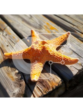 Intra Συλλεκτικό Ξύλινο Παζλ Plywood  4mm - Πορτοκαλί αστερίας σε ξύλινο τραπέζι Σε Ξύλινο Κουτί - Διαστάσεις: 10x10 cm – 25 κομμάτια