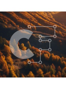 Intra Συλλεκτικό Ξύλινο Παζλ Plywood  4mm - Αεροφωτογραφία των δέντρων στην πλαγιά του λόφου στο φθινοπωρινό φύλλωμα Σε Ξύλινο Κουτί - Διαστάσεις: 10x10 cm – 25 κομμάτια