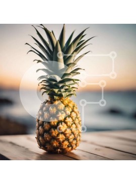 Σετ των 2 Intra Συλλεκτικό Ξύλινο Παζλ Plywood  4mm - Φρέσκος ανανάς σε υπαίθριο τραπέζι με θέα στον ωκεανό Σε Ξύλινο Κουτί - Διαστάσεις: 10x10 cm – 25 κομμάτια