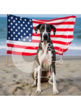 Intra Συλλεκτικό Ξύλινο Παζλ Plywood  4mm - Μεγάλο σκυλί που κάθεται στην παραλία με την αμερικανική σημαία Σε Ξύλινο Κουτί - Διαστάσεις: 10x10 cm – 25 κομμάτια